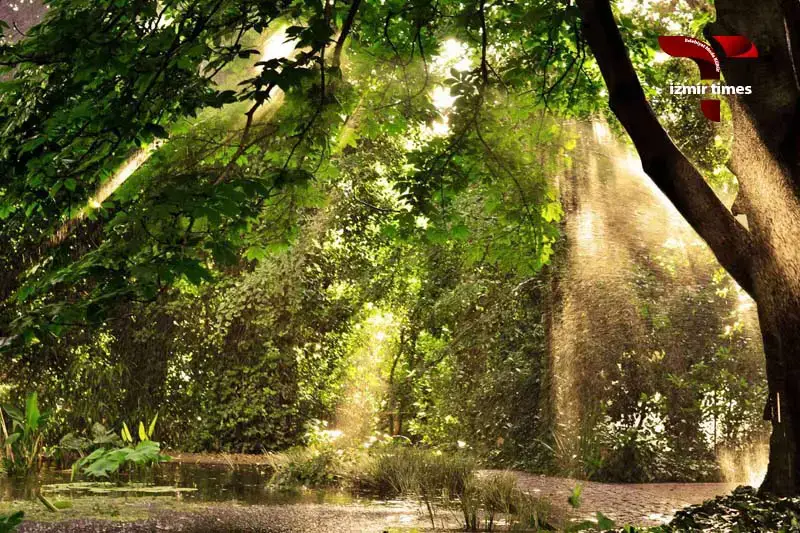 برگزاری عروسی در ازمیر ترکیه و باغ ادوارد ویتال